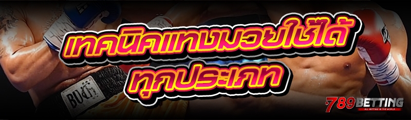 เทคนิคแทงมวยใช้ได้ทุกประเภท