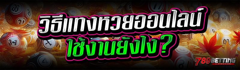 วิธีแทงหวยออนไลน์ ใช้งานยังไง?