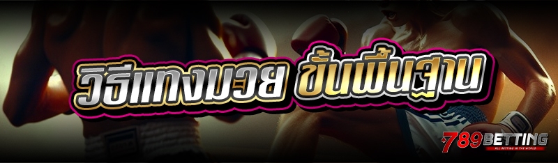 วิธีแทงมวย ขั้นพื้นฐาน