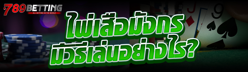 ไพ่เสือมังกร มีวิธีเล่นอย่างไร?