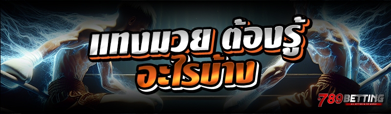 แทงมวย ต้องรู้อะไรบ้าง
