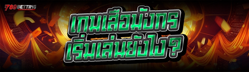 เกมเสือมังกร เริ่มเล่นยังไง?