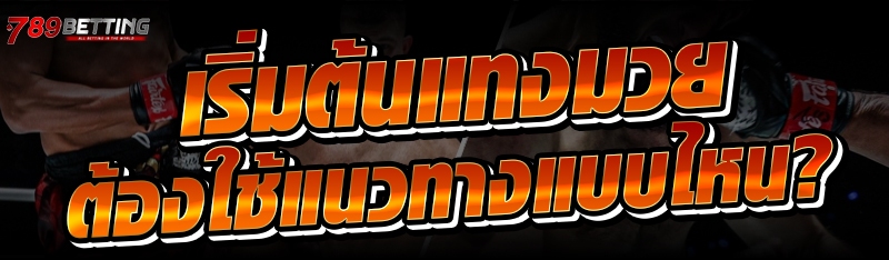 เริ่มต้นแทงมวย ต้องใช้แนวทางแบบไหน?